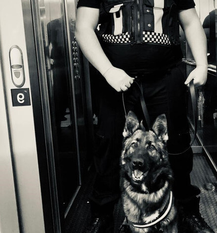 Why Choose Coverdale Security Services